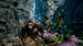 Игра Skull Island: Rise of Kong для Nintendo Switch