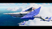 Star Fox [Nintendo Switch 2, английская версия]