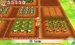Story of Seasons: Trio of Towns [3DS, английская версия]