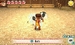 Story of Seasons: Trio of Towns [3DS, английская версия]