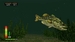 Bass Pro Shops: The Strike. Championship Edition [Nintendo Switch, английская версия]