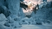 The Outer Worlds 2. Premium Edition [Xbox Series X, русские субтитры]