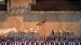 The Rogue Prince of Persia. Immortal Edition [Nintendo Switch 2, русские субтитры]