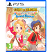Story of Seasons: Grand Bazaar [PS5, английская версия]