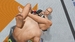 UFC Undisputed 3 [PS3, английская версия]