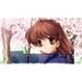 Clannad [Nintendo Switch, английская версия]