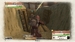 Valkyria Chronicles Remastered [Nintendo Switch, английская версия]