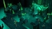 Warhammer 40,000: Mechanicus [Nintendo Switch, русская версия]