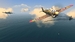 Warplanes: WWI Sky Aces + WW2 Dogfight [PS5, русские субтитры]