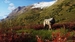 Way of the Hunter: Wild Expeditions [Xbox Series X, русские субтитры]