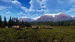 Way of the Hunter: Wild Expeditions [Xbox Series X, русские субтитры]