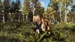 Way of the Hunter: Wild Expeditions [Xbox Series X, русские субтитры]