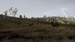 Way of the Hunter: Wild Expeditions [Xbox Series X, русские субтитры]