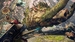 Wild Hearts S [Nintendo Switch 2, английская версия]