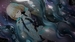 Expelled from Paradise: The Stellar Angel [Nintendo Switch, английская версия]